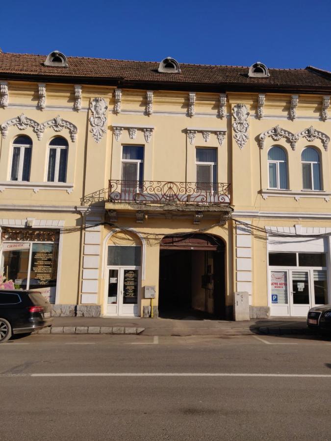 Sandor Central Studio Apartment Targu Mures Exterior photo