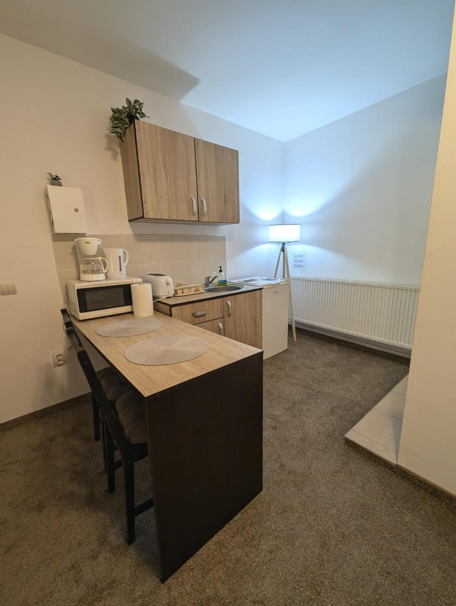 Sandor Central Studio Apartment Targu Mures Exterior photo